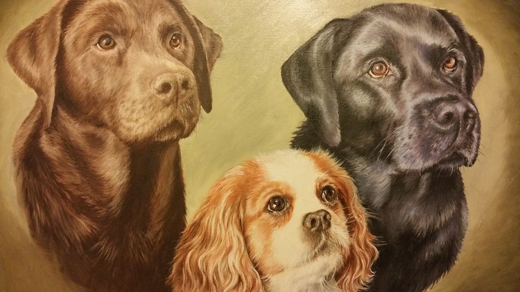 Labradors and Cavalier