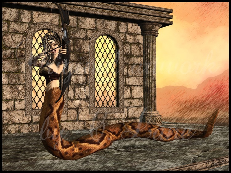medusa wm