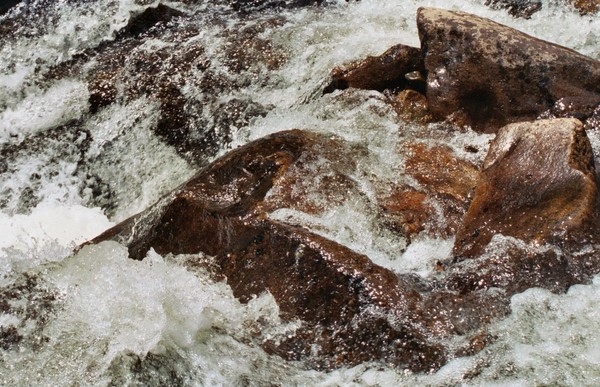 River Roar