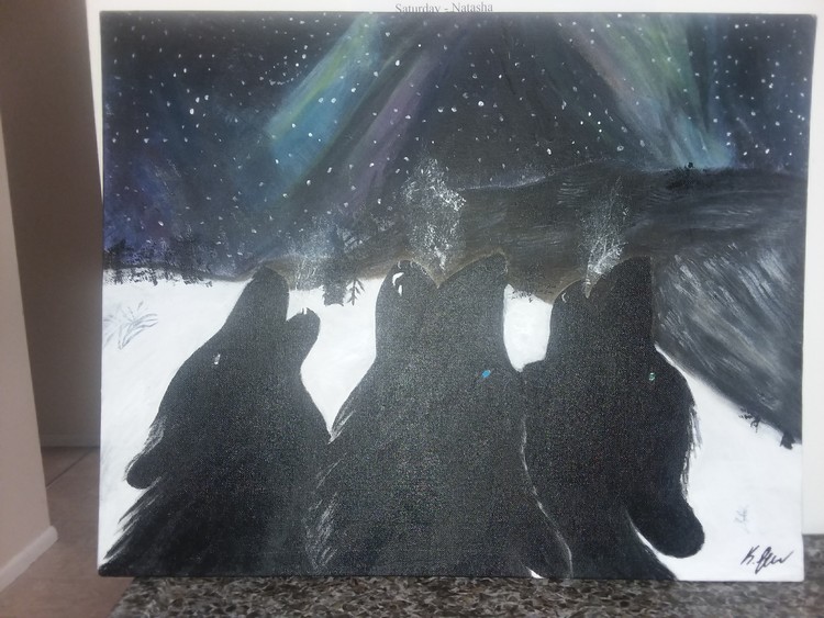 Northern Night's 