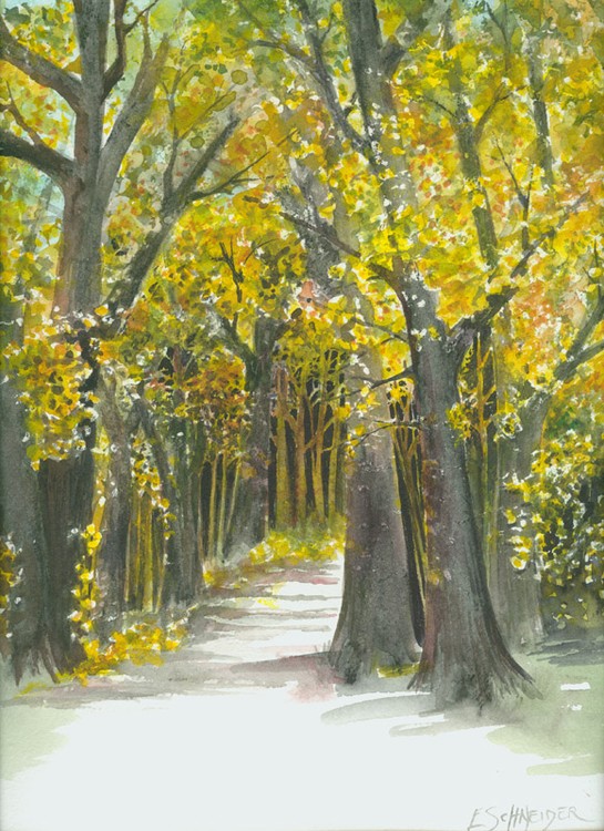 Autumn in the woods