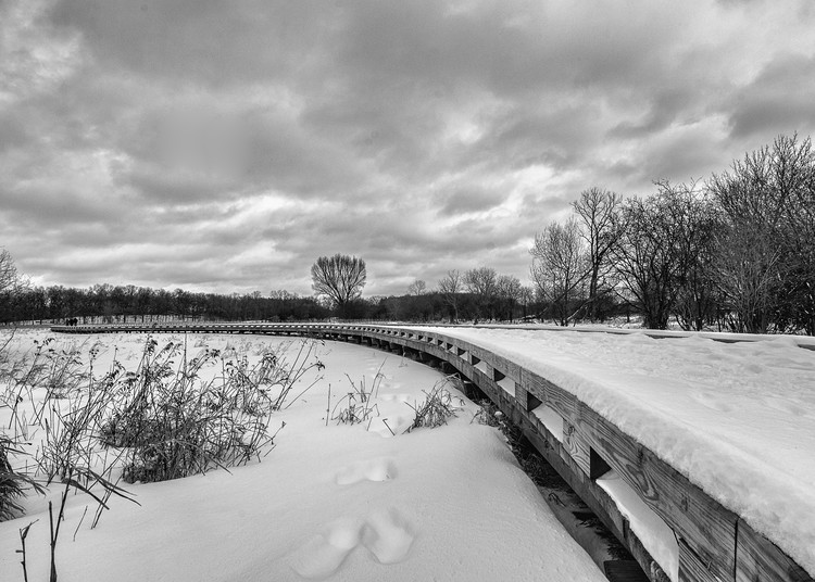 Crab Tree Bridge