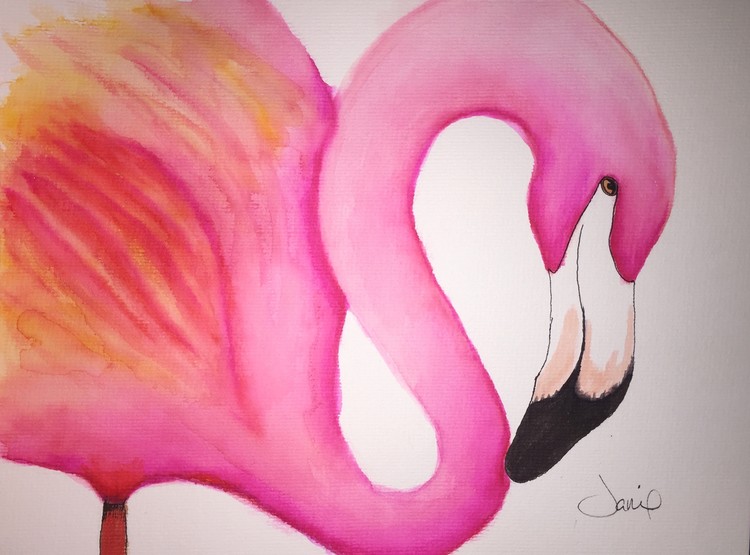 Flamingo Love