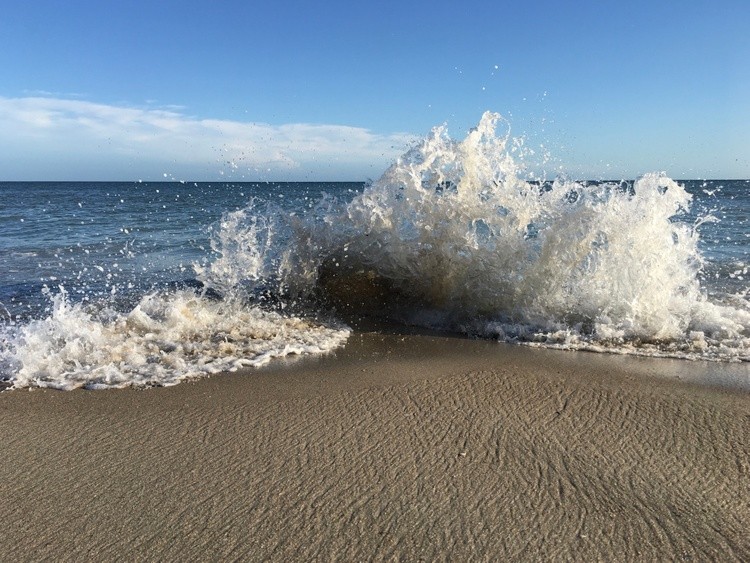 Splash 1