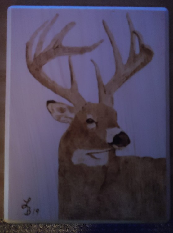 Big Buck