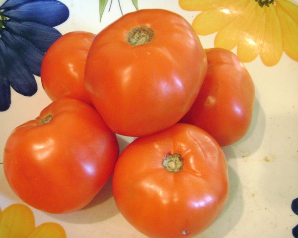 tomatoes