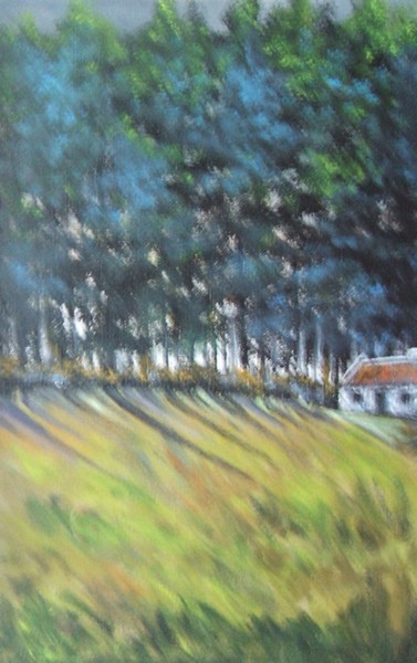 Big Trees, Little House