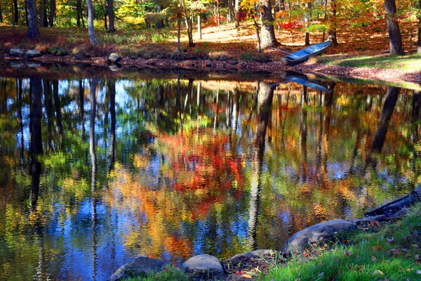 Darlene's Pond