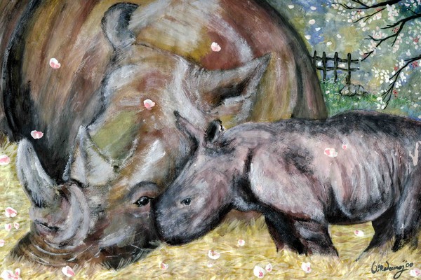 rhino