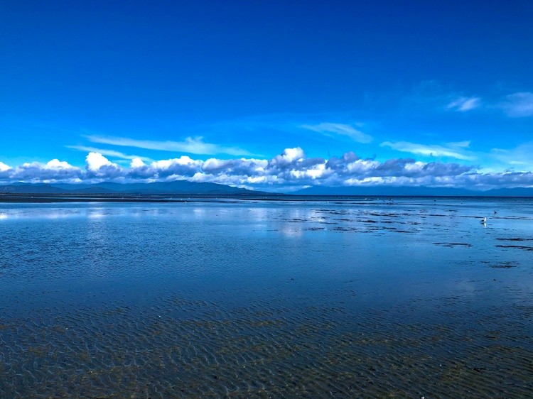 Glass Ocean