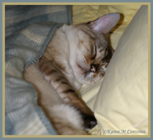 Sleepy