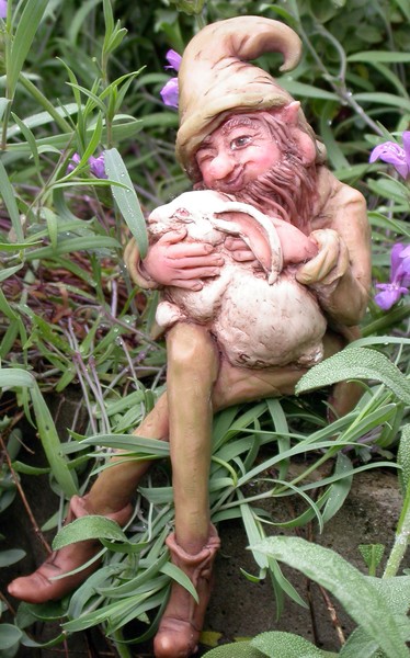 An Old Garden Friend
