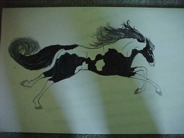 pony--2