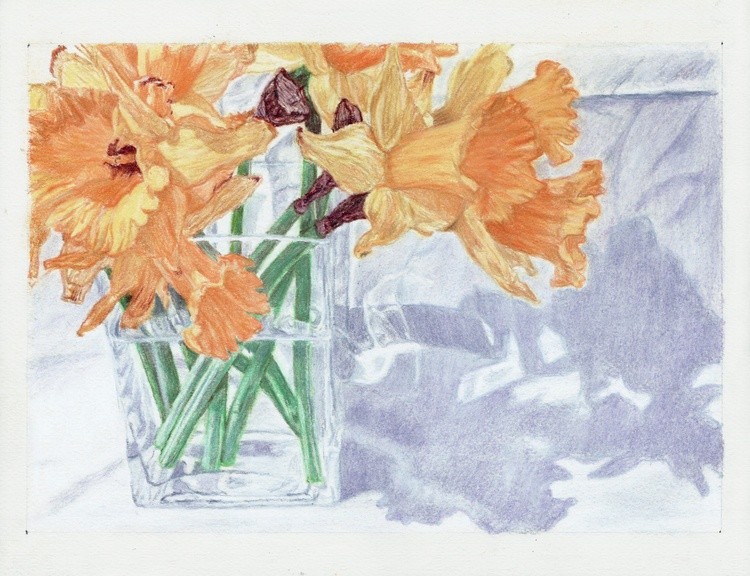 Daffodils 3