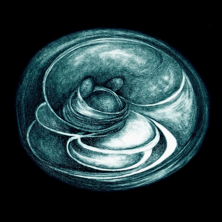 Embrace