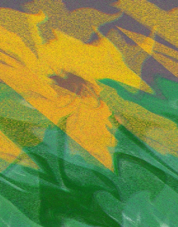 Yellow Flower