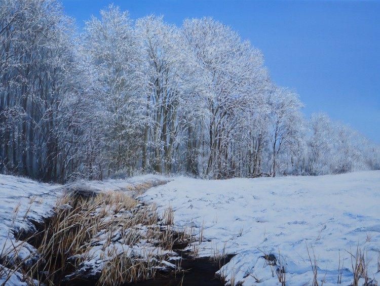Sneeuwbosrand / Snow forest