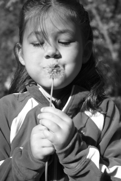 Make a wish!!