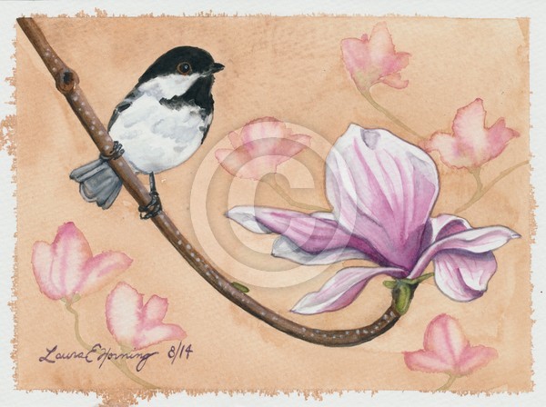 Chickadee on Magnolia
