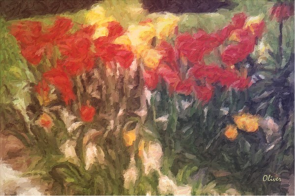 Garden Light And Color