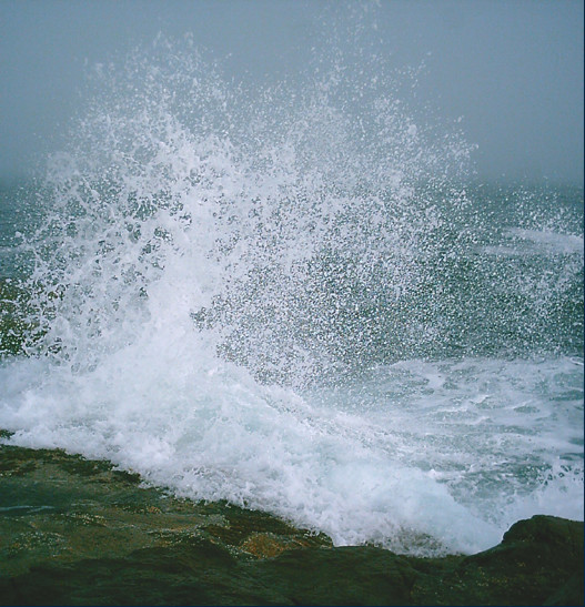 Scoodic Pt. Waves