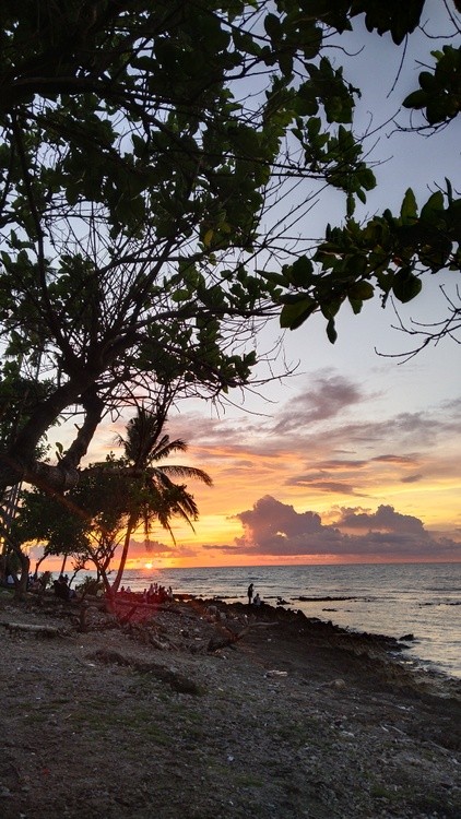 Sunsets and Nature