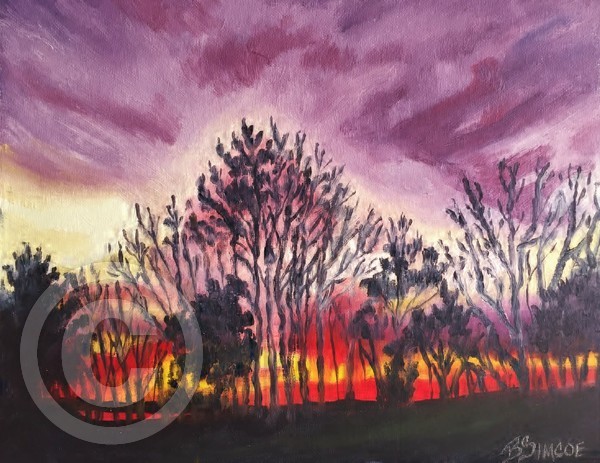 Sunset Silhouette