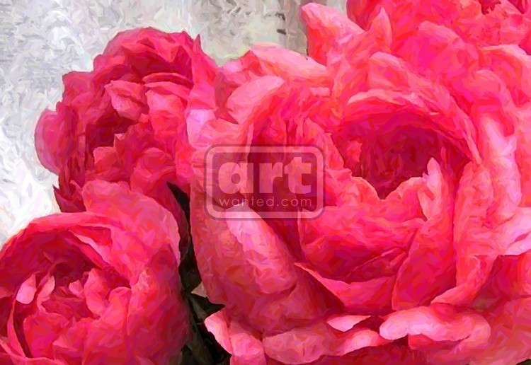 Red Peonies