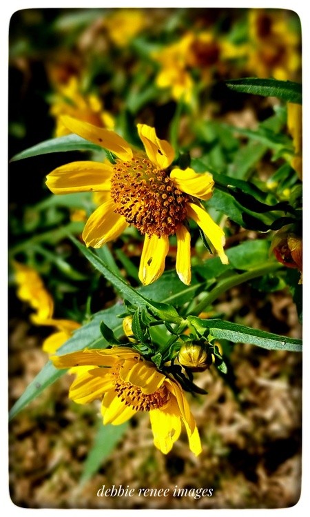 Don't forget to see nature's beauty.