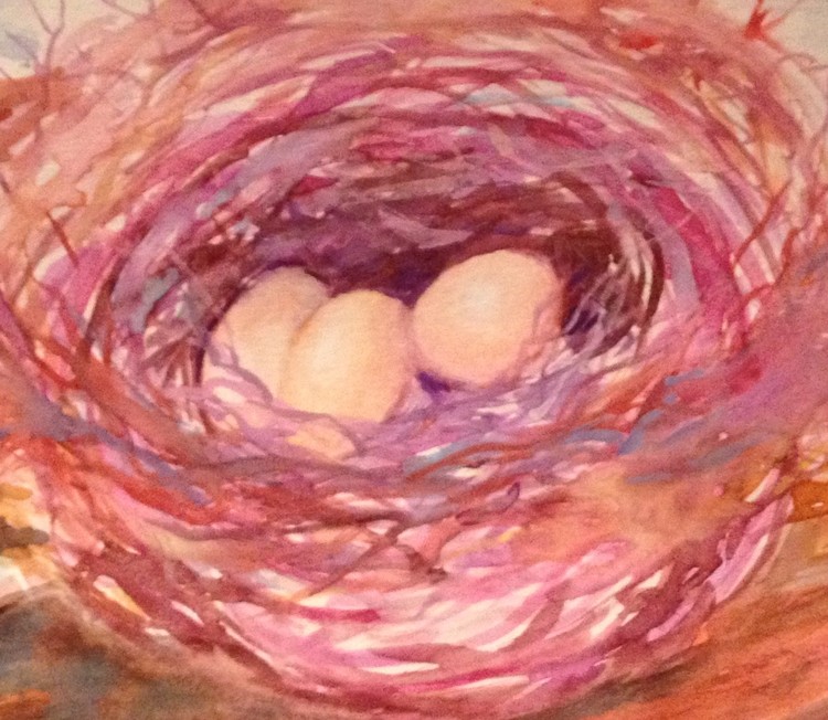 Nest and eggs 
