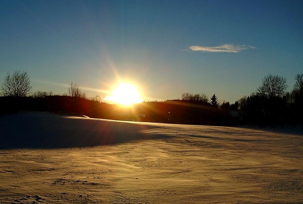 Winter sun