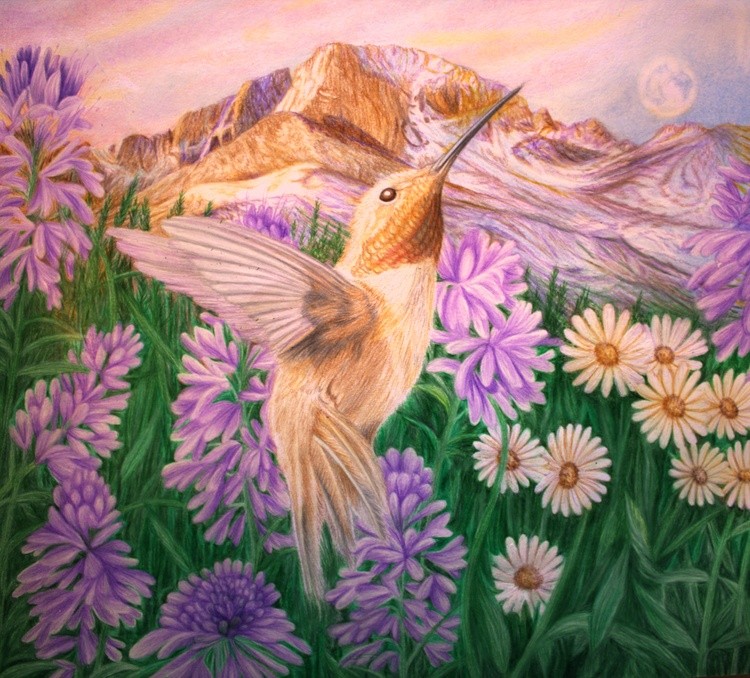 Flying Jewel Hummingbirds