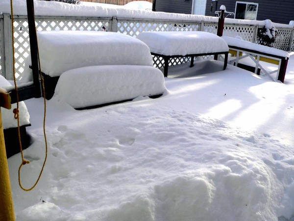 Snow Fall