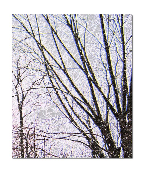White Silence