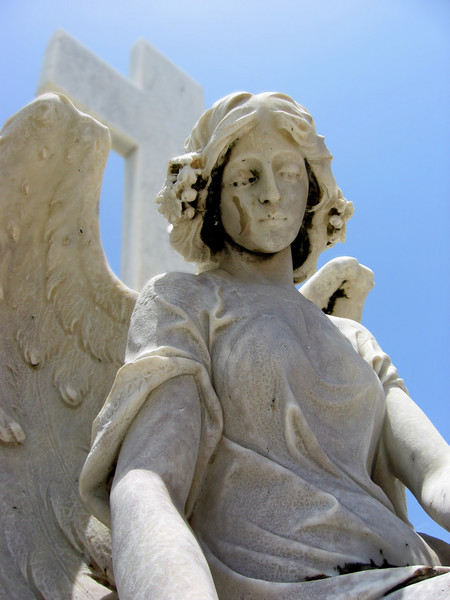 Angel; watching you