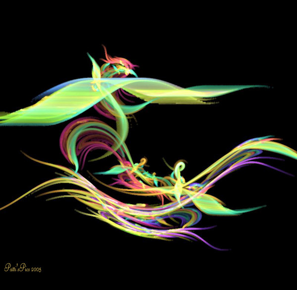 Birds of Paradise