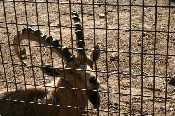 Let me out, please!!!