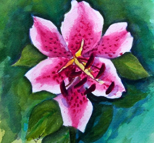 Day Lilly