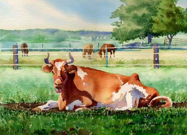 Larry's Ox