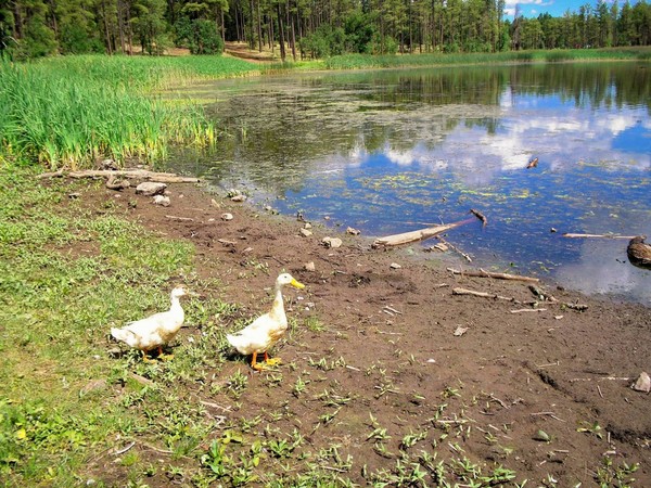 Mr and Mrs at the lake...