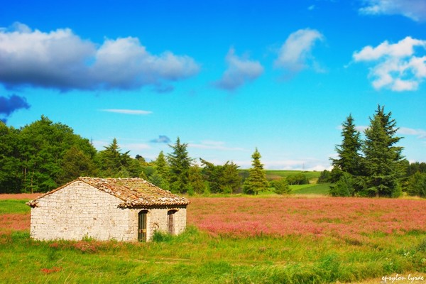 Little stone house
