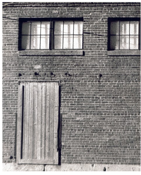 wall