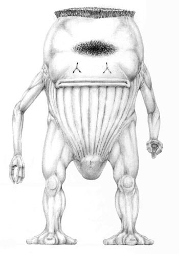 Baltek Body Study 1