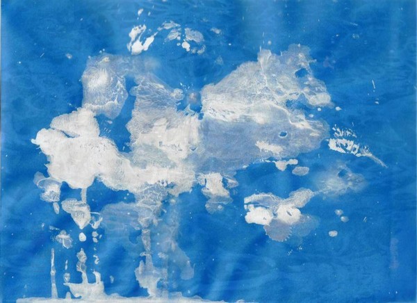 camel in the clouds