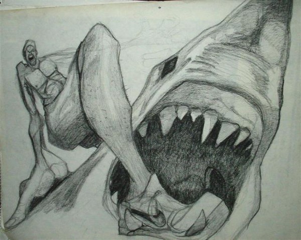 Shark-Ride