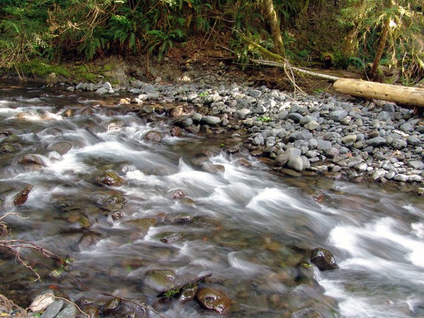Quiet Stream