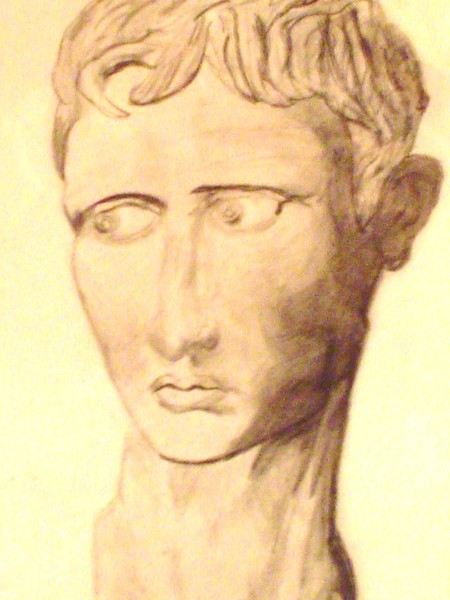 david