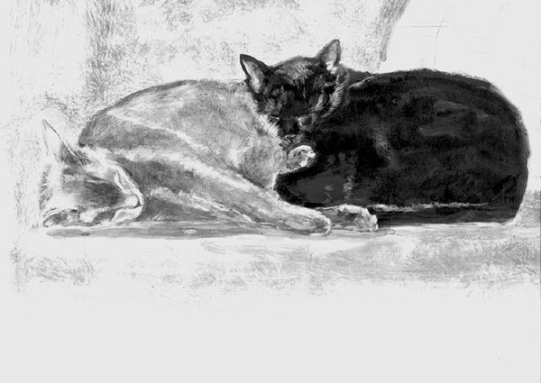 Cutter & Obi 