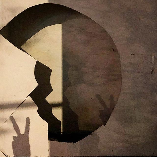 Shadow Puppets