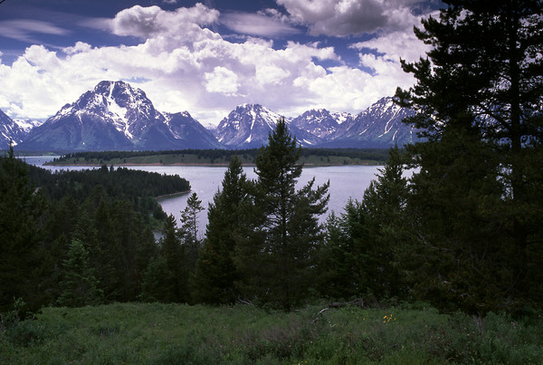Snake River - Grand Tetons